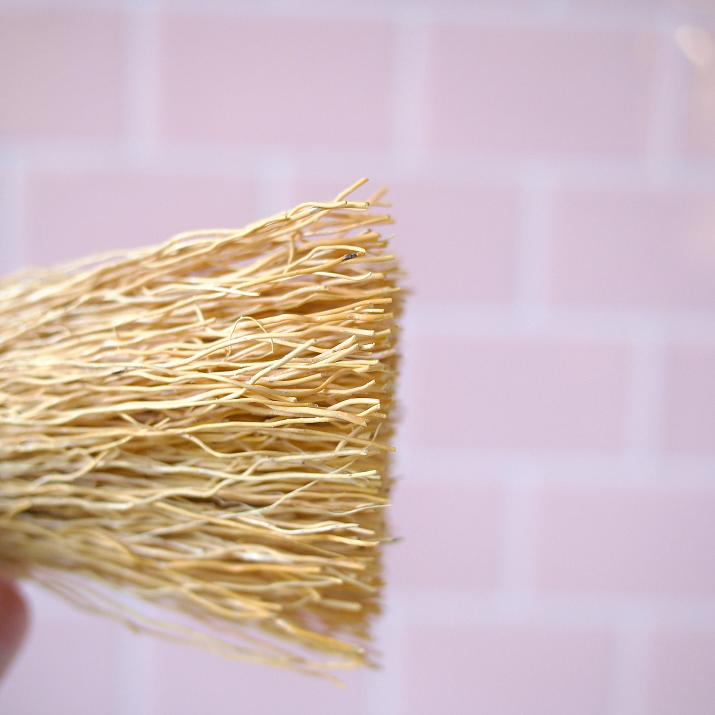 Escobetas de Raiz - Zero Waste Root Dish Scrubbers in Fun Colors