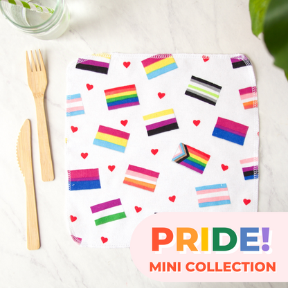 PRIDE!  Mini Collection Reusable Napkins in Flags