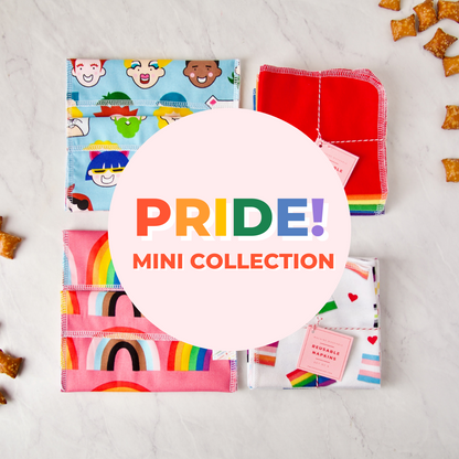 PRIDE! Mini Collection Reusable Snack Bag Set in Gayborhood